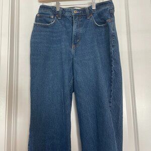 Abercrombie & Fitch Curve Love High Rise Vintage Straight Jean
